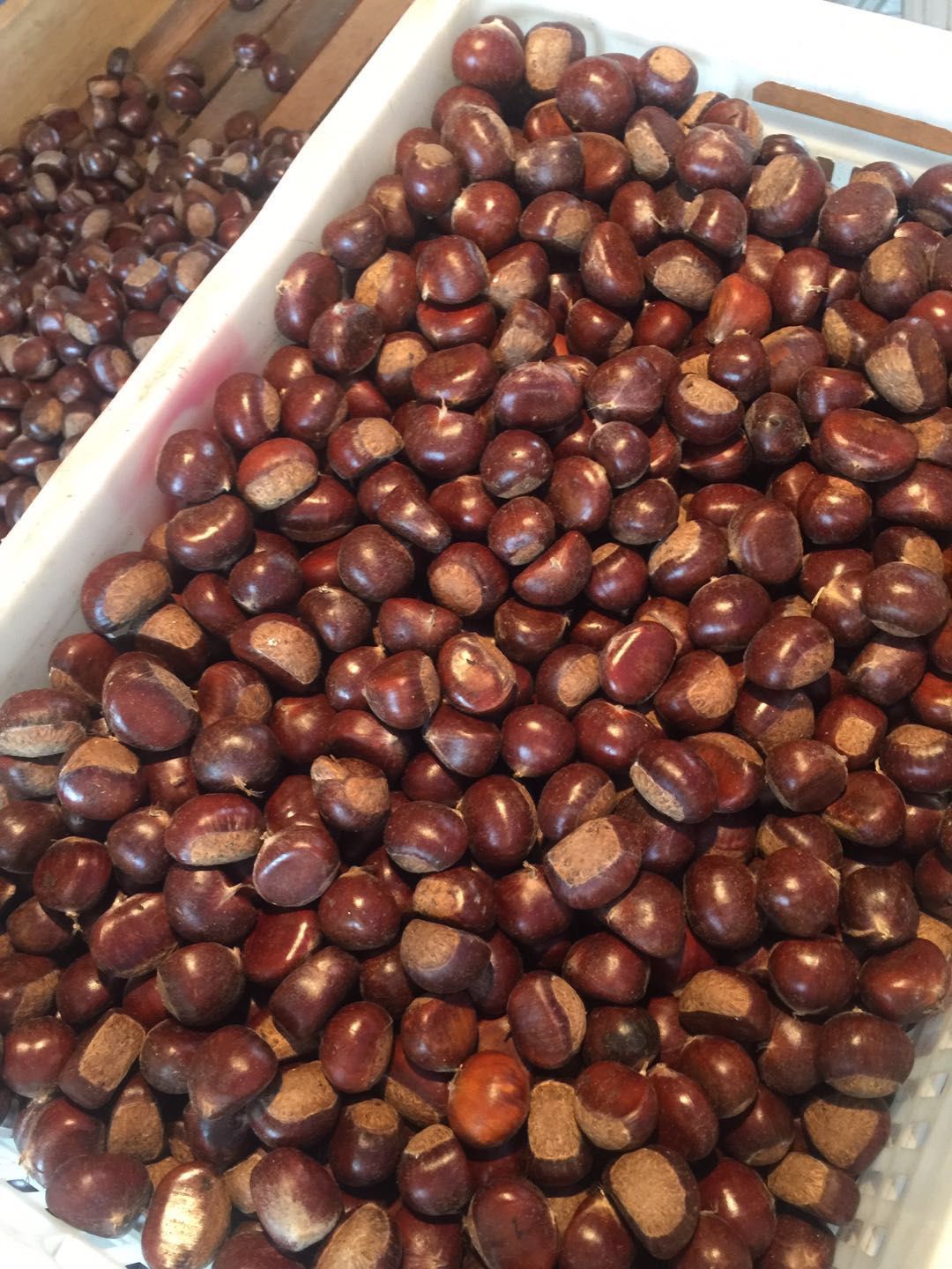 山东省蒙阴县满意栗业