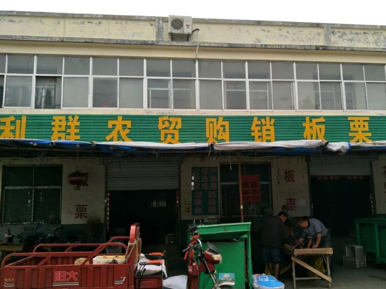 山东省蒙阴县利群板栗种植合作社